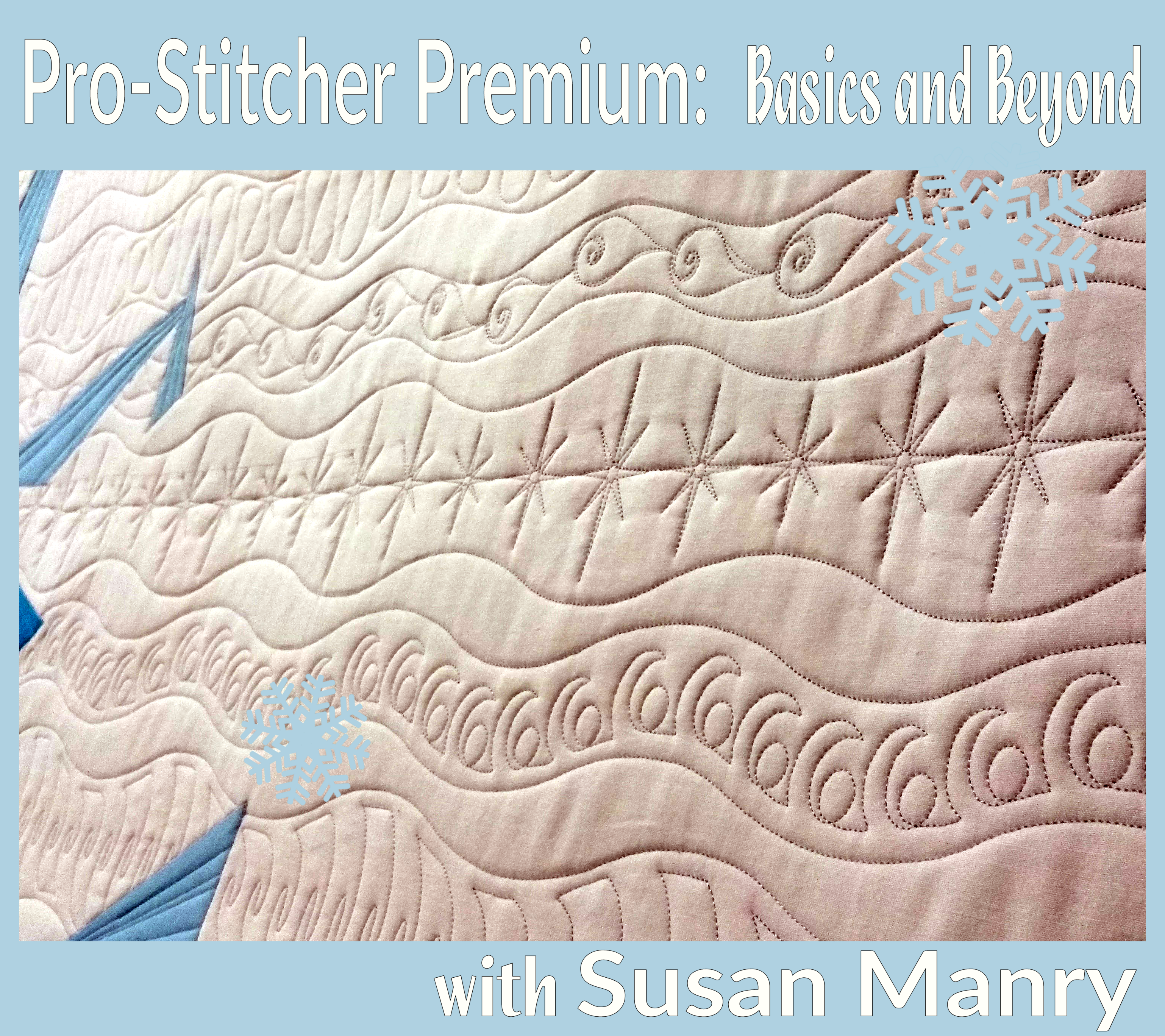 Pro-Stitcher Premium:  Basics and Beyond, January 30-31, 2021